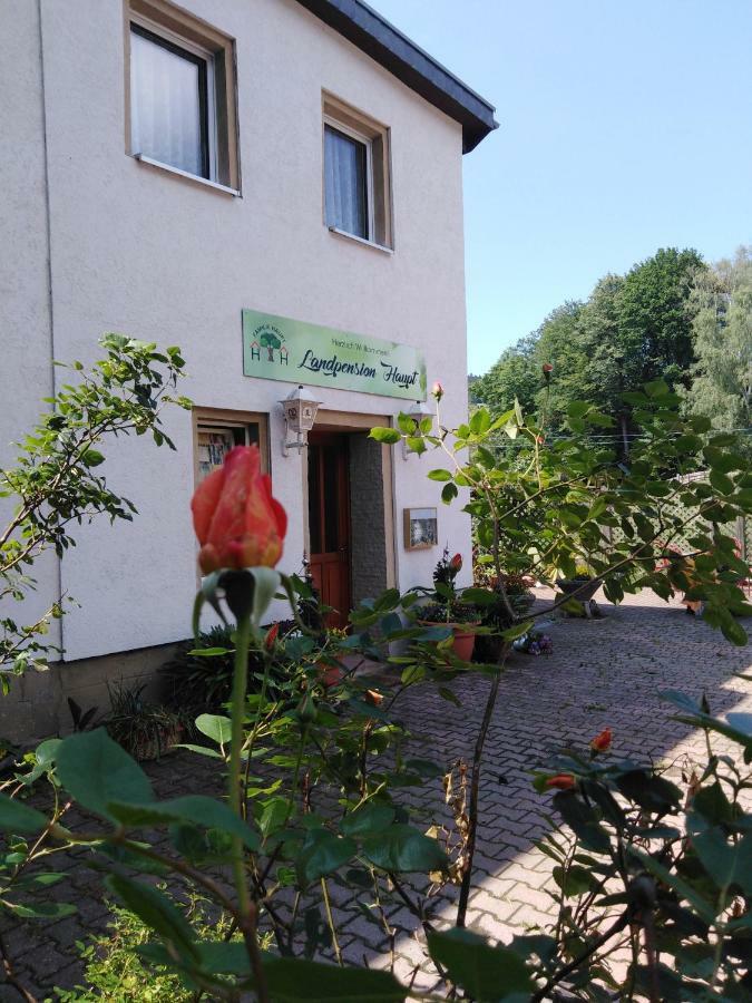 Landpension Haupt Sebnitz Exterior photo